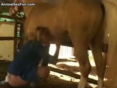 Blonde milf blows horse dick in front of her hubby